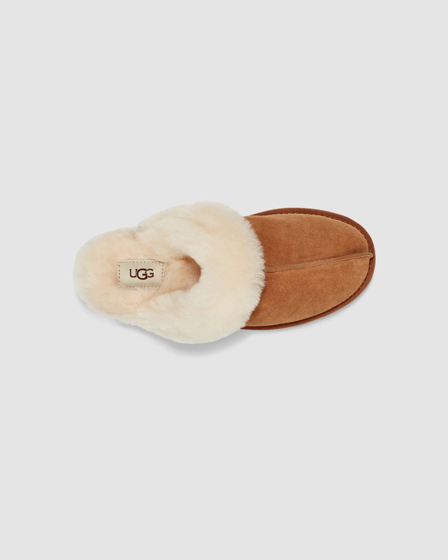 2503 W SCUFFETTE II