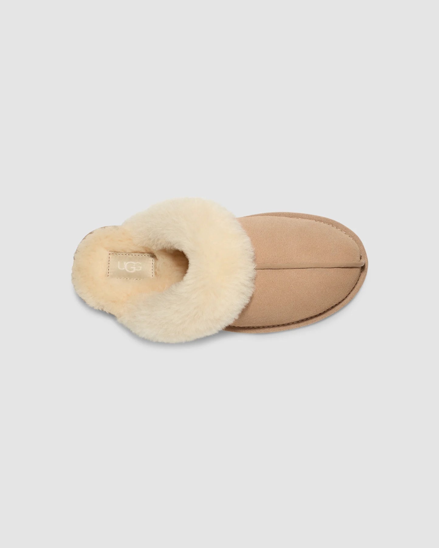 2503 W SCUFFETTE II