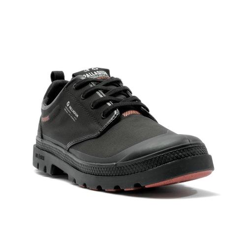 PALLADIUM 79145-008