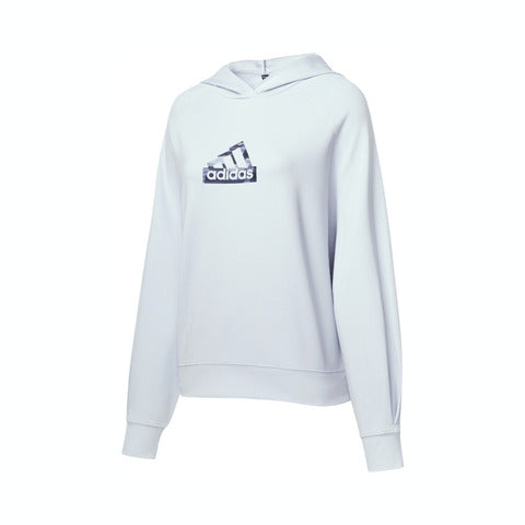 TECH DK HOODY (HALO BLUE S21)