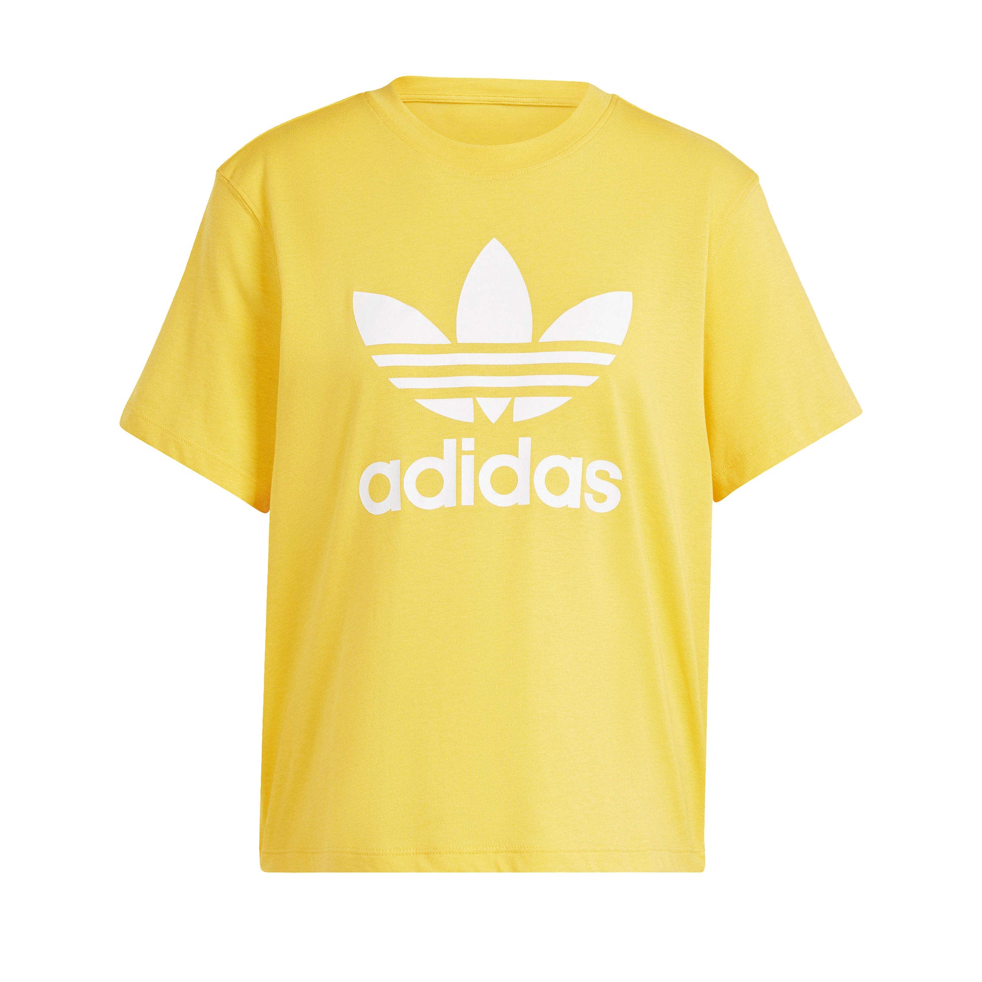 TRFL TEE BOXY (BOLD GOLD)