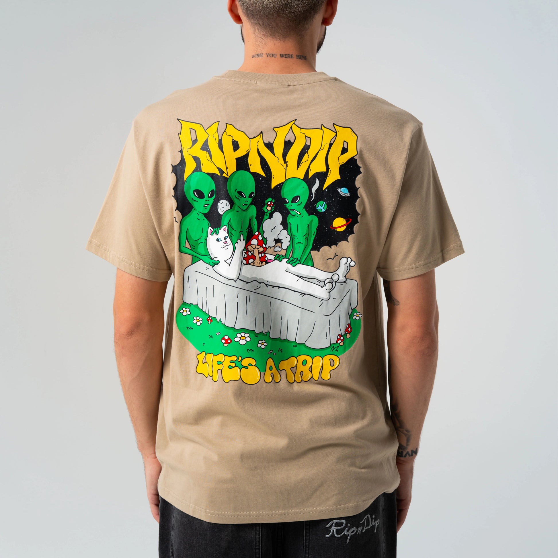 HARVEST TEE (KHAKI)