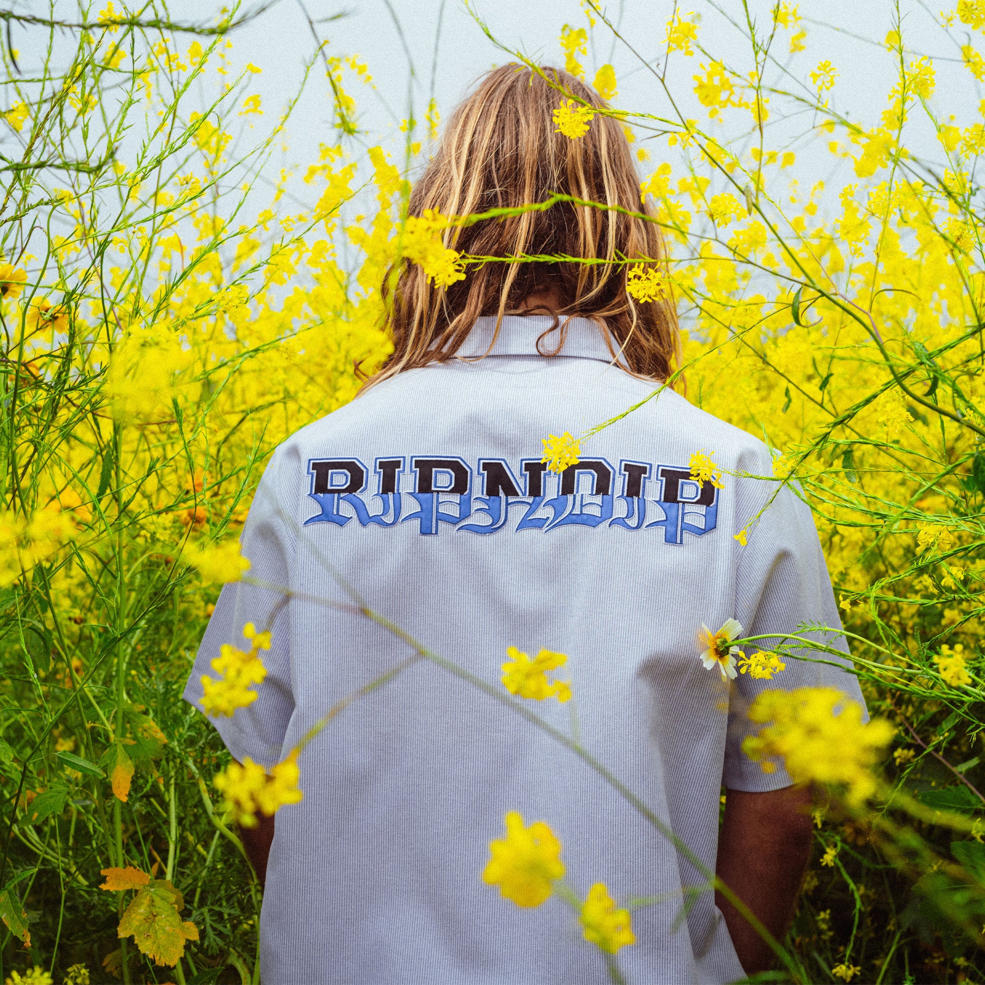 RICH SPIRIT QUARTER ZI