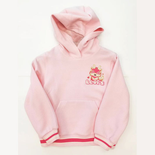 PULLOVER HOODIE