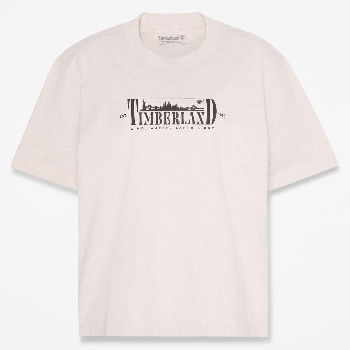 Graphic Short Sleeves Tee LIGH,FQ