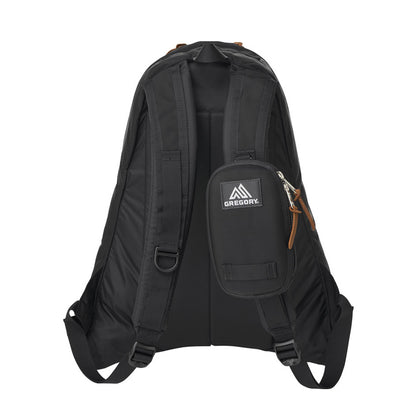 GREGORY MULTIPLE CASE