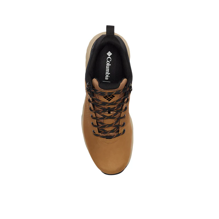 NEWTON NIMBLE LTR