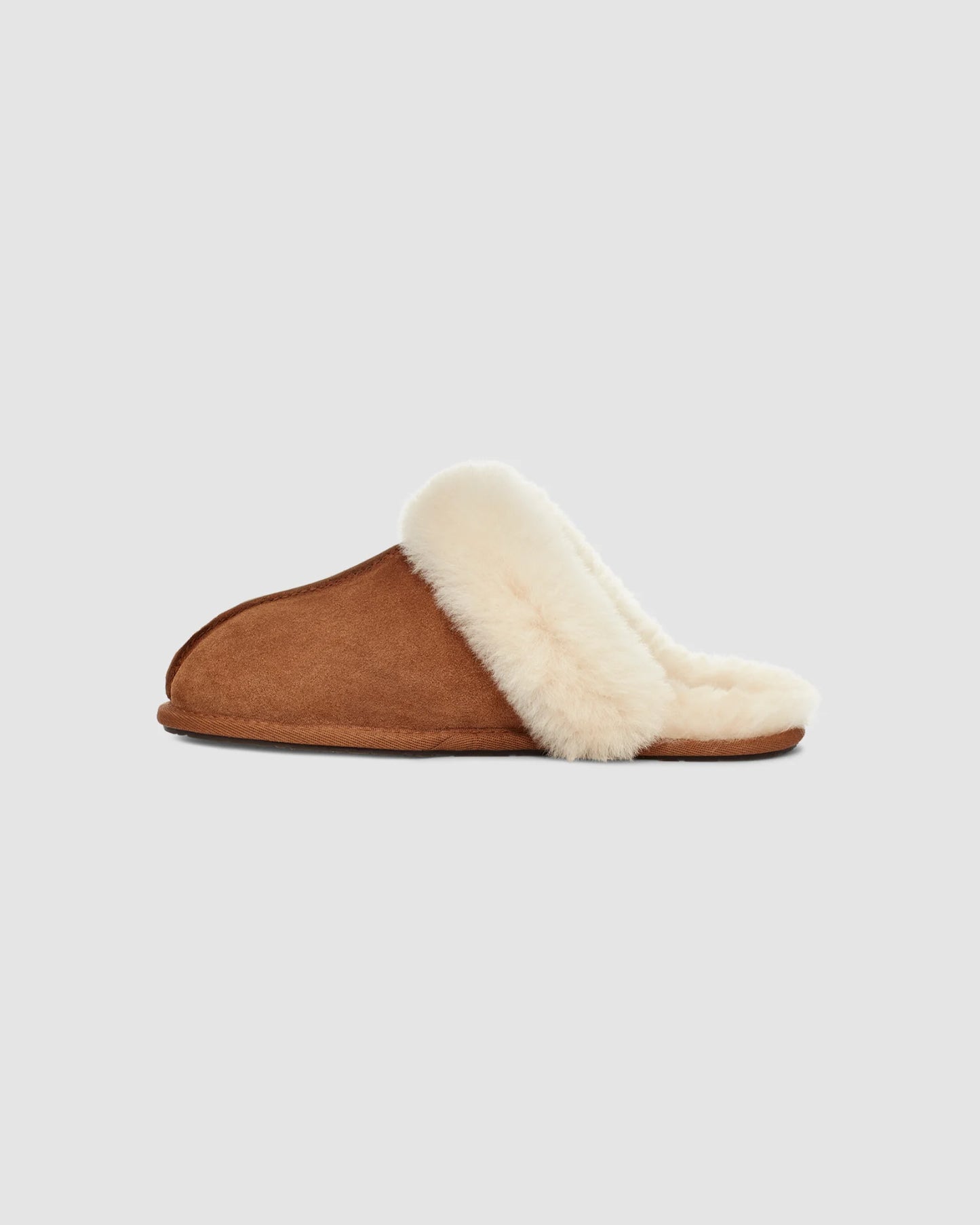 2503 W SCUFFETTE II