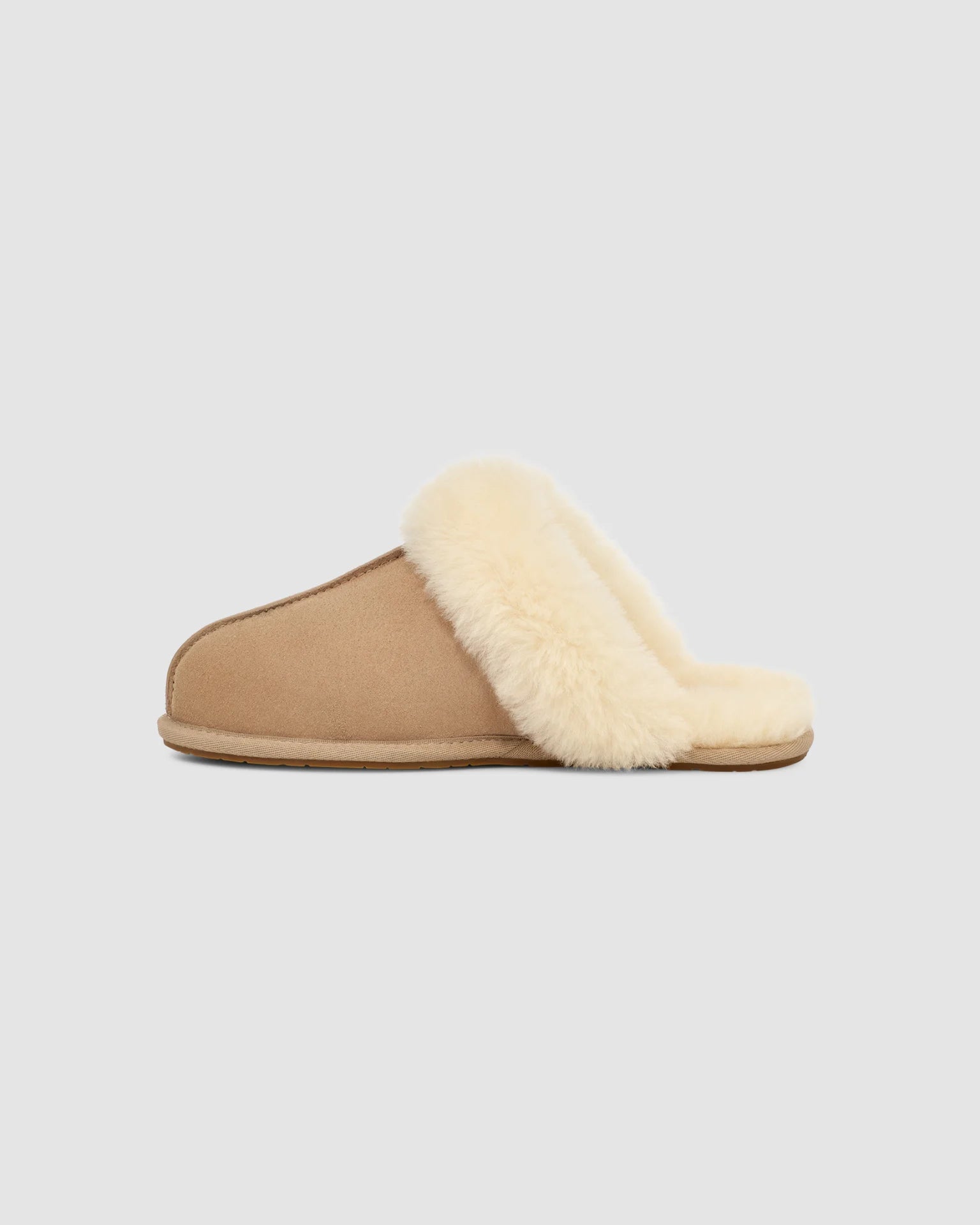2503 W SCUFFETTE II