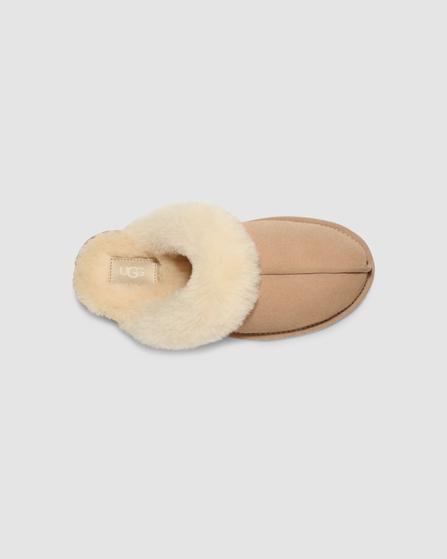 2503 W SCUFFETTE II