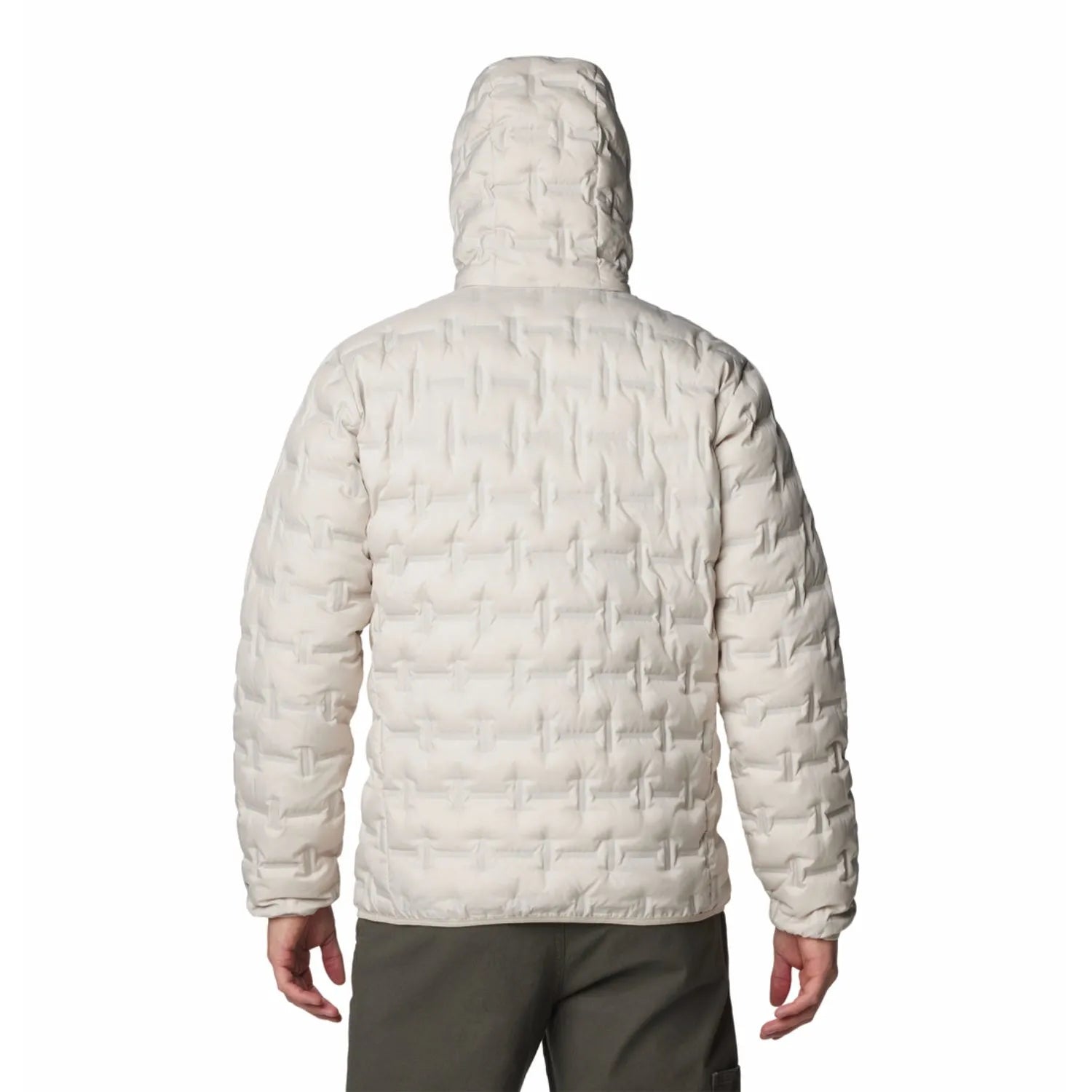 Delta Ridge II Down Hooded Jacket