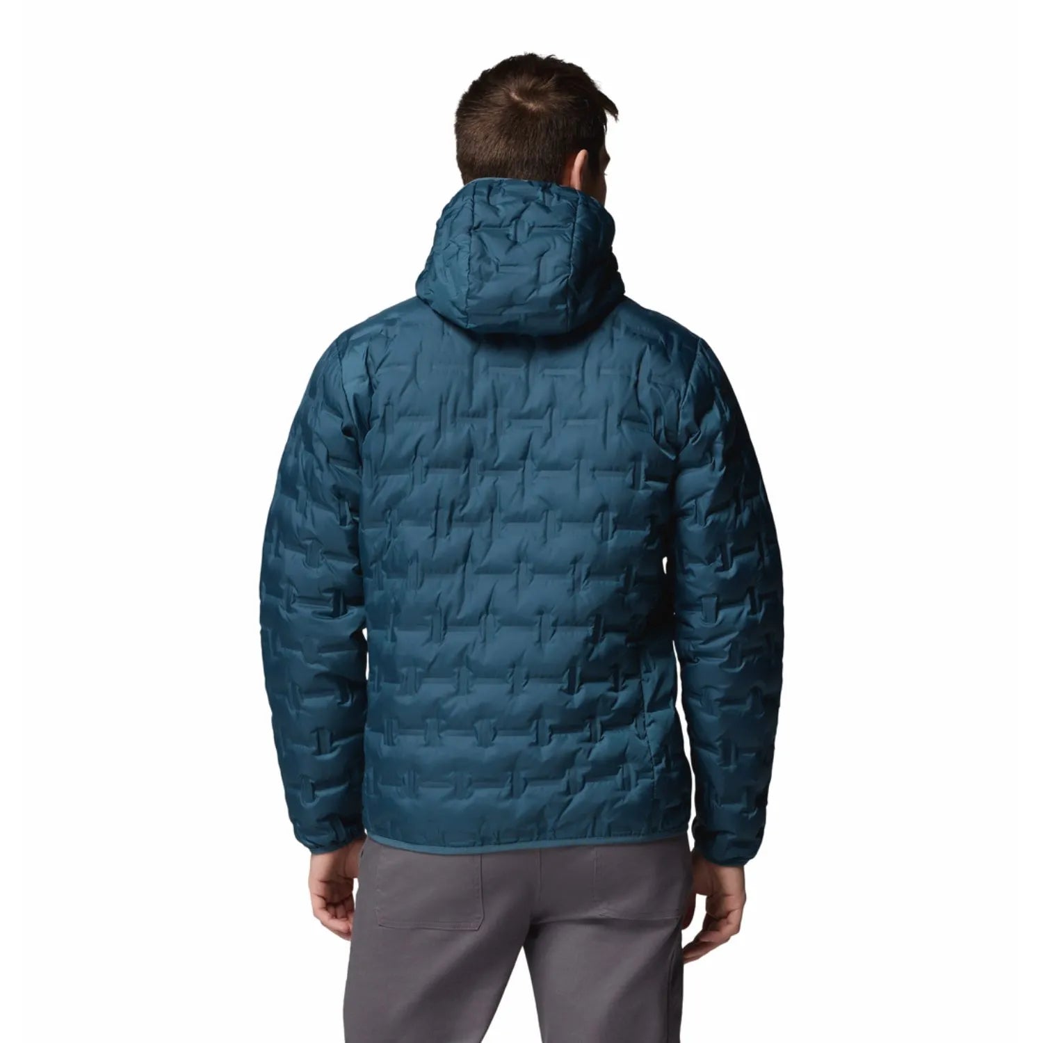 Delta Ridge II Down Hooded Jacket