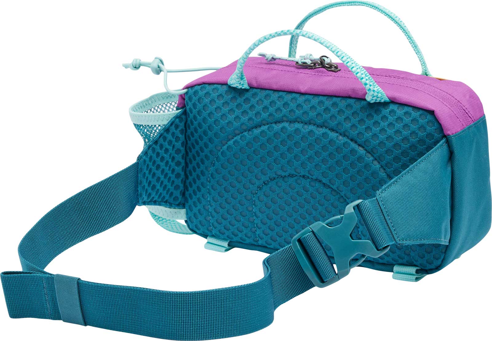Echo Mountain Hip Pack