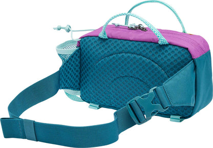 Echo Mountain Hip Pack