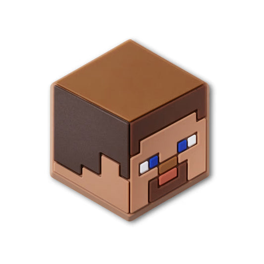 501 MINECRAFT 4