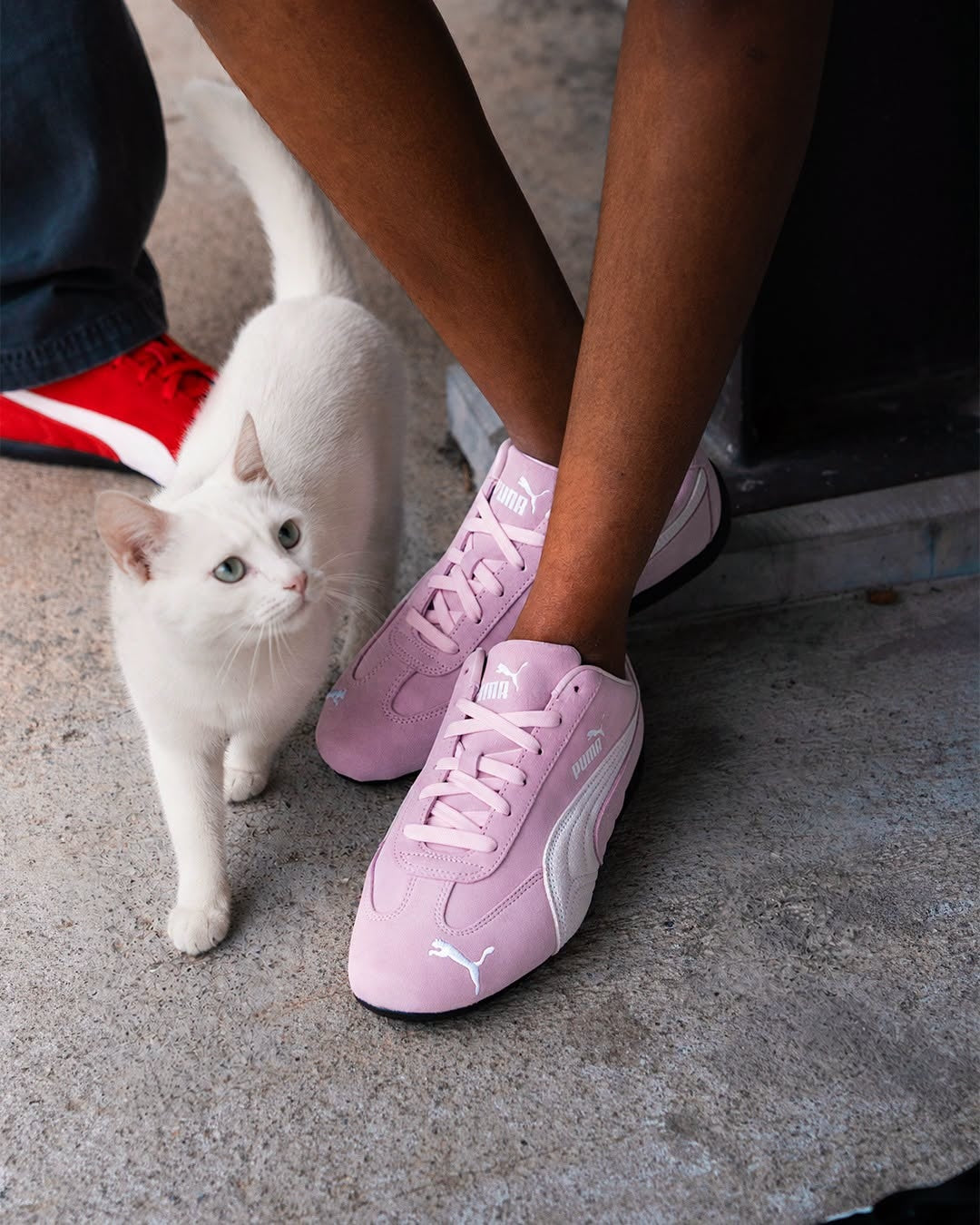 PUMA CATCH SD