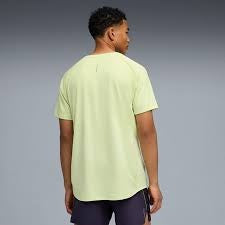 TEES