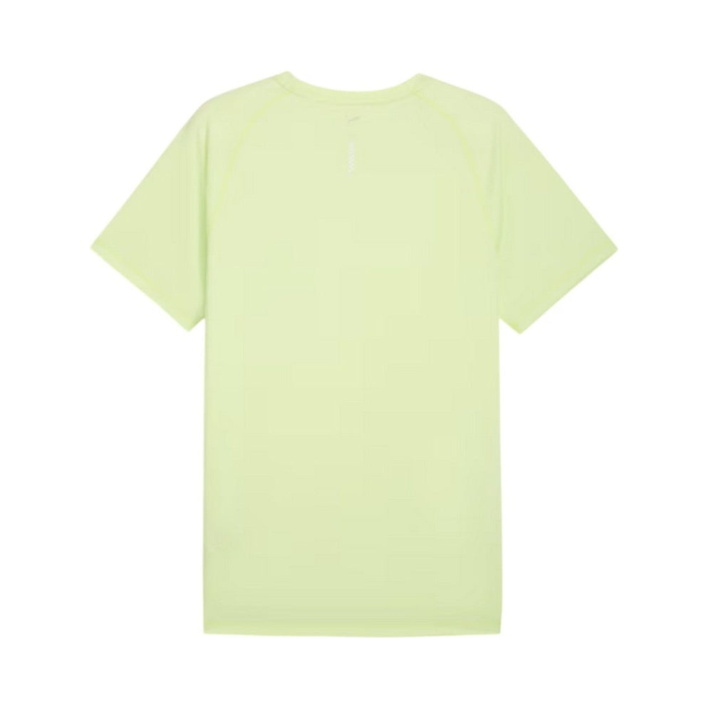 TEES
