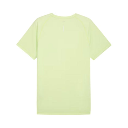 TEES