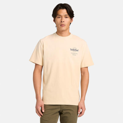 AF Sunfaded Back Tree Logo Gra,FQ