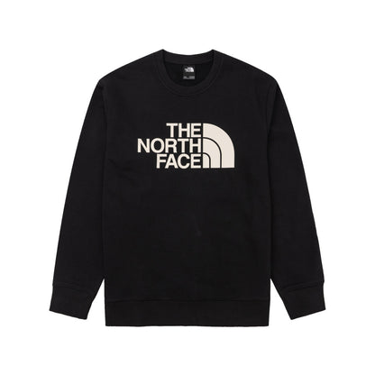 M TNF FOUNDATION RLX CREW - AP