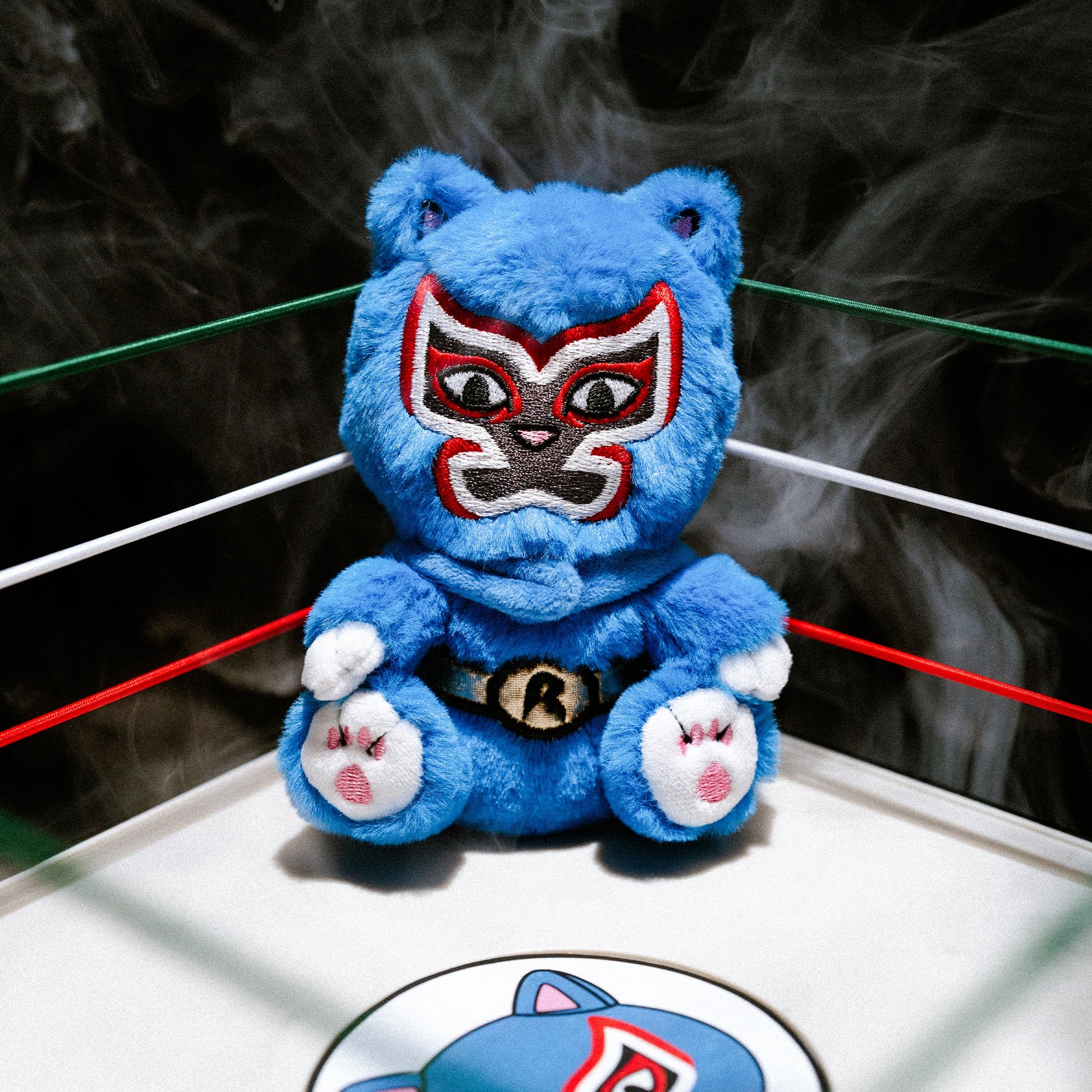 MYSTERY BAG - LUCHA NERMIEE