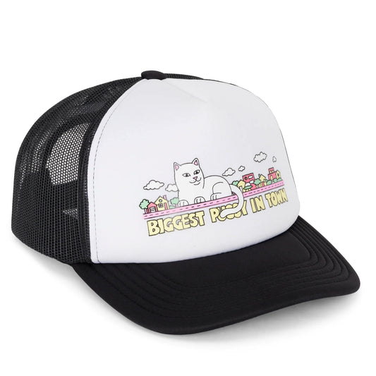 MY NEIGHBORHOOD TRUCKER HAT